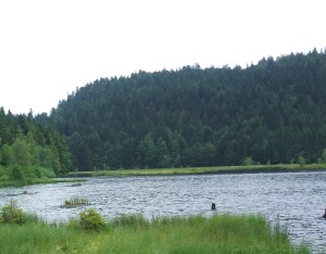 2013-07-19 été 2013 vosges 001