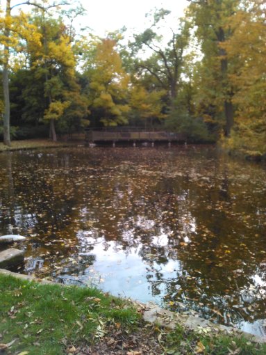 2015-10-24 automne 2015 bretigny etc 002