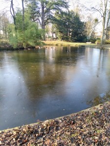 hiver sur la mare